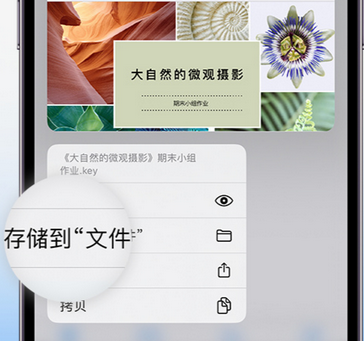 临夏市apple维修中心分享iPhone文件应用中存储和找到下载文件