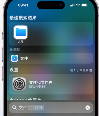 临夏市apple维修中心分享iPhone文件应用中存储和找到下载文件