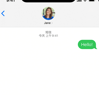 临夏市apple维修iPhone上无法正常发送iMessage信息