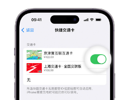 临夏市apple维修点分享iPhone上更换Apple Pay快捷交通卡手绘卡面 