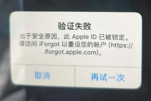 临夏市iPhone维修分享iPhone上正常登录或使用AppleID怎么办 