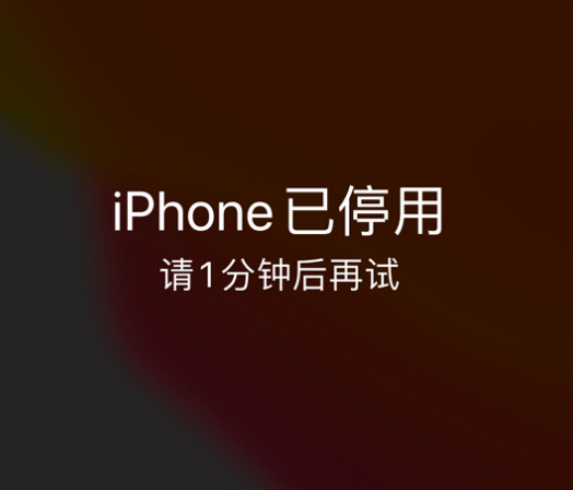 临夏市苹果手机维修分享:iPhone 显示“不可用”或“已停用”怎么办？还能保留数据吗？ 