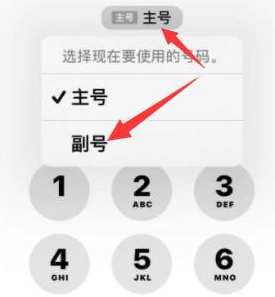 临夏市苹果14维修店分享iPhone 14 Pro Max使用副卡打电话的方法 