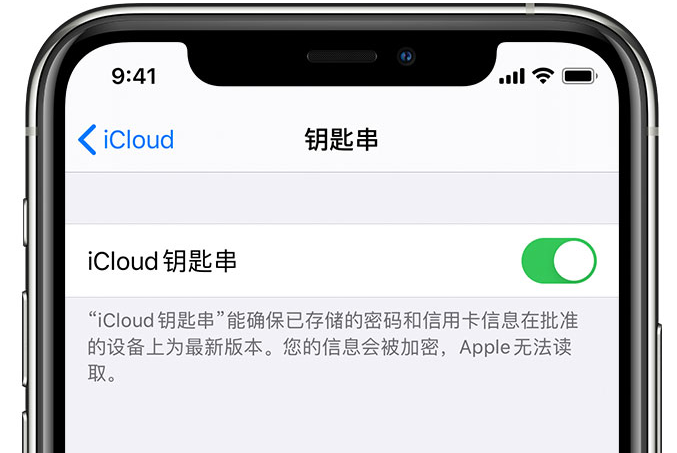 临夏市苹果手机维修分享在 iPhone 上开启 iCloud 钥匙串之后会储存哪些信息 