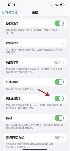 临夏市苹果手机维修分享iPhone手机如何设置摇一摇删除文字 