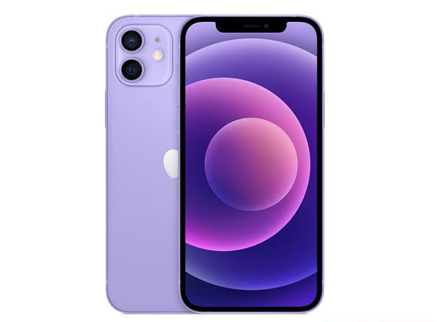临夏市苹果手机维修分享现阶段要不要入手紫色版iPhone12 